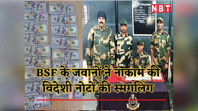अंधेरे में स्मगलिंग का था इरादा, BSF ने भारत- बांग्लादेश बॉर्डर पर पकड़े करोड़ों रुपये के विदेशी नोट
