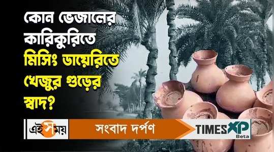 khejur gur taste is disappearing as sugar is being mixed with palm jaggery watch video