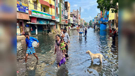 மிக்ஜாம் புயல் பாதிப்புகள்... சிறு வணிகக்கடன் சிறப்பு முகாம்... 13 வரை ரெடியாருங்க!