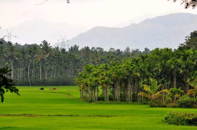 ವಯನಾಡ್‌ಗೆ ಭೇಟಿ ನೀಡಲು ಉತ್ತಮ ಸಮಯ ಯಾವುದು?