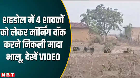 mp news viral video story of female bear with 4 cubs seen in village area in shahdol villagers in fear
