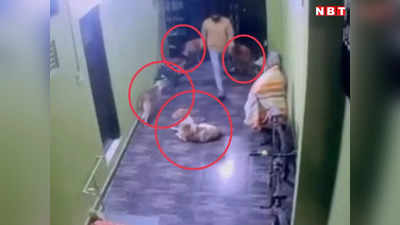 Indore Crime: बंदूक लेकर घर में घुसे 6 बदमाश, कुत्तों ने कर दी खटिया खड़ी, प्लान फ्लॉप हुआ तो दुम दबाकर भागे चोर