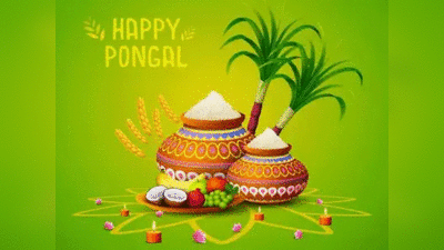 Pongal Date 2024 : पोंगल कब है, जानें कैसे और क्यों मनाते हैं यह पर्व