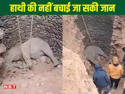 कुएं में गिरे हाथी के बच्चे को 40 घंटे बाद बाहर निकालने में मिली सफलता, नहीं बचाई जा सकी जान