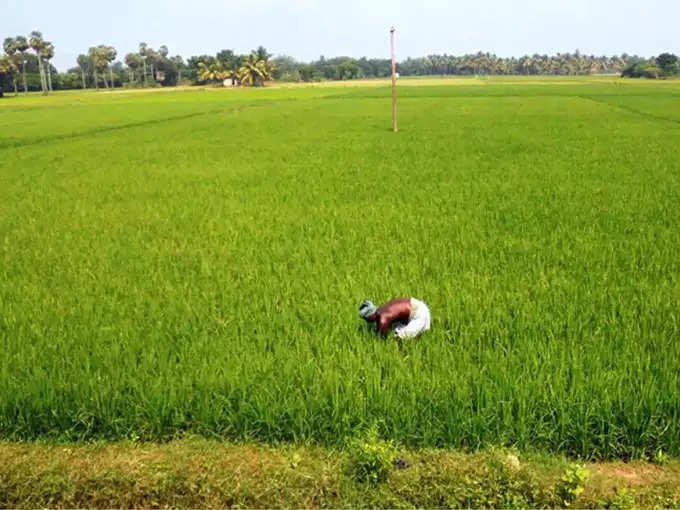 டெல்டாவுக்கு எப்போது தண்ணீர் திறப்பு?