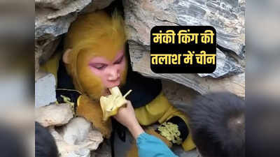चीन में मंकी किंग बनना चाहते हैं? 70,000 रुपये की सैलरी, रहने को गुफा और खाने को केला भी फ्री