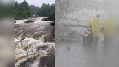 Kozhikode Rain: കോഴിക്കോട് ശക്തമായ മഴ; എരഞ്ഞിക്കലില്‍ ഓടിക്കൊണ്ടിരുന്ന സ്കൂട്ടറിലേക്ക് തെങ്ങ് വീണു; യാത്രക്കാരന്‍ രക്ഷപ്പെട്ടത് തലനാരിഴയ്ക്ക്