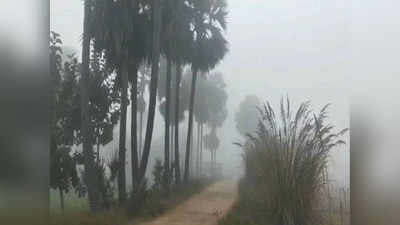 Bihar Weather Today: बारिश के बाद अब शीतलहरी का प्रकोप, बिहार के 20 जिलों का गिरा पारा; 12 जनवरी से हाड़ कंपाने वाली ठंड