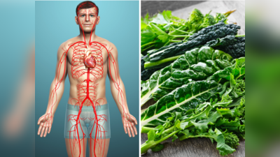 10 Iron Rich Vegetables: ब्लड बैंक हैं ये 10 सब्जी, सूखी नसों में भर देंगी खून, पीलिया-एनीमिया का होगा नाश