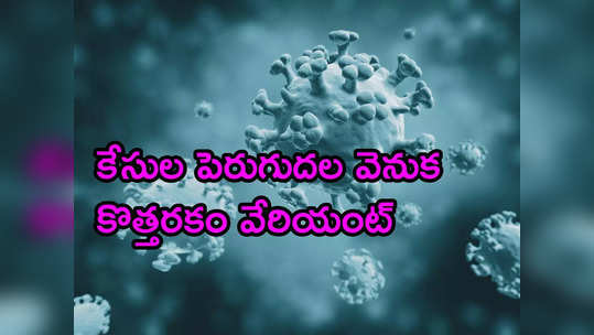 దేశంలో కొత్త వేరియంట్ జేఎన్.1 డామినేషన్: ఇన్సాకాగ్ డేటా 