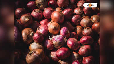 Onion Prices : পেঁয়াজের ঝাঁজে চোখে জল পাক নাগরিকদের, কেজি প্রতি বিকোচ্ছে ২৪০ টাকা দরে