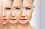 Anti Aging Skin Care: চিরযৌবনের রহস্য বলা আছে আয়ুর্বেদেই! তাই এই ৬ নিয়ম মানলেই উল্টো ঘুরবে বয়সের কাঁটা