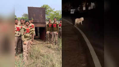 Khargone News: CISF कैंपस में तेंदुए के मूवमेंट से इलाके में दहशत, वन विभाग ने पकड़ने का किया इंतजाम