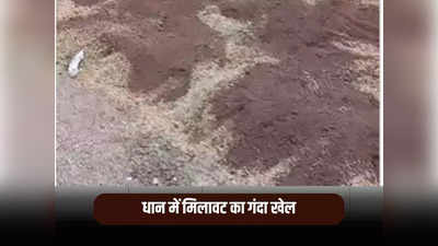 Paddy Rice Scam: मैहर में धान का वजन बढ़ाने के लिए मिलावट का खेल, सरेआम रेत मिलाने का वीडियो वायरल, प्रशासन में मचा हड़कंप