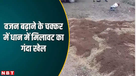satna news mixing sand and soil to increase weight of paddy in maihar watch video