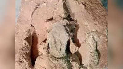 हरियाणा के कोट गांव में मिले सैंकड़ों वर्ष पुराने मंदिर के सबूत, भगवान विष्णु की मूर्ति निकली