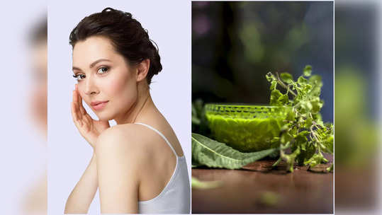 Tulsi Face Packs: কালচে ভাব উঠে জেল্লা ফিরবে রাতারাতি! তুলসির সঙ্গে এই উপাদান মিশিয়ে মুখে লাগান মাত্র ১ দিন