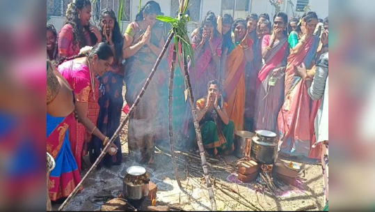 திண்டுக்கல் கொடைக்கானல் - கல்லூரி மாணவிகள் தித்திக்கும் பொங்கலை உற்சாகமாக வரவேற்றனர்!