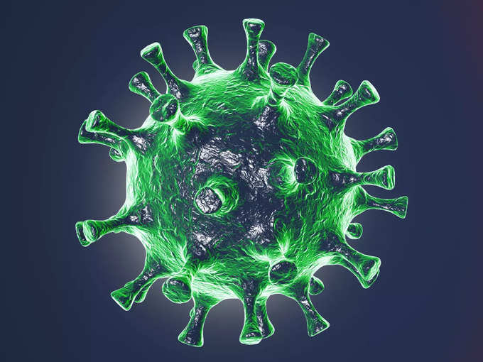 virus (2)