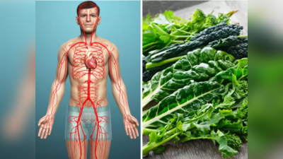 Iron Rich Vegetable: ब्लड बॅंक या 10 भाज्या, सुकलेल्या निर्जिव नसांत भरतात सळसळून रक्त, कावीळ-एनिमिया होतो नष्ट