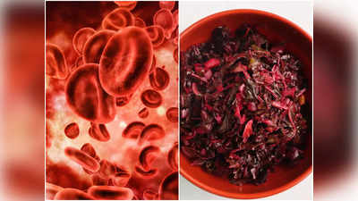 Red Amaranth Benefits: রক্ত তৈরিতে একাই একশো এই লাল রঙের শাক! রোজ খেলে এড়াতে পারবেন ছোট-বড় বহু রোগের ফাঁদ