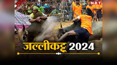 Jallikattu 2024: सांड को बाहुबली के भल्लालदेव जैसे काबू करना आसान नहीं, जल्लीकट्टू की तैयारी कैसी? जानें सबकुछ