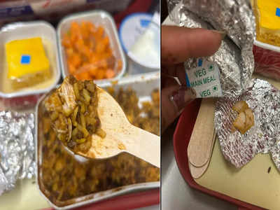 એર ઈન્ડિયાની ફ્લાઈટમાં શાકાહારી ભોજનમાંથી નીકળ્યું નોન-વેજ, પેસેન્જરોએ કહ્યું-ધાર્મિક લાગણી દુભાવી 