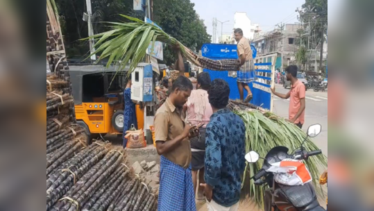 விருதுநகர் சாத்தூரில் கரும்பு விற்பனை அமோகம்; வியாபாரிகள் மகிழ்ச்சி!