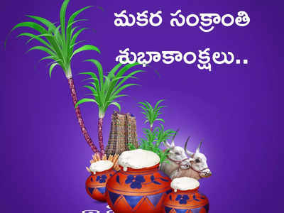 Makara Sankranti 2024 ఈసారి మకర సంక్రాంతి ఎప్పుడొచ్చింది.. శుభ ముహుర్తం, పూజా విధానాలివే...