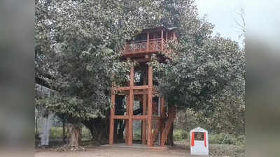 जिम कॉर्बेट पार्क: पर्यटकों के लिए फाटो जोन में 2 ट्री हाउस के साथ 5 ईको हट बनेंगे, 1 करोड़ का बजट जारी