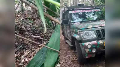 Vithura Leopard Dead Body: വിതുരയിൽ വനത്തിൽ കുട്ടിപ്പുലിയുടെ ജഡം, സമീപത്ത് മ്ലാവിൻ്റെ അവശിഷ്ടം; തള്ളപ്പുലിയെ തിരഞ്ഞ് വനം വകുപ്പ്