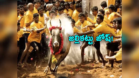 Jallikattu: తమిళనాట మొదలైన జల్లికట్టు.. ఉత్సాహంగా పాల్గొంటున్న తమిళ తంబీలు 