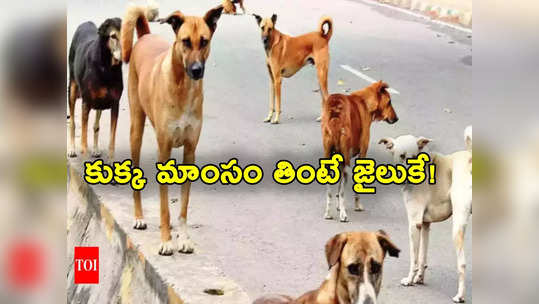 Dog Meat: కుక్క మాంసం తింటే 3 ఏళ్లు జైలు శిక్ష.. కొత్త చట్టం తీసుకొచ్చిన ప్రభుత్వం!