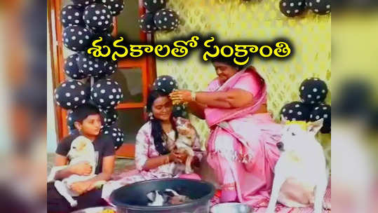 పండుగ పూట ఇంటి నిండా కుక్కలే.. ఈ సంక్రాంతి సంబురాలు కొంచెం వెరైటీ గురూ..! 