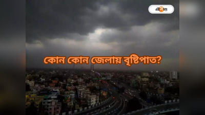 Weather Update Kolkata : কলকাতা সহ দক্ষিণবঙ্গে দুর্যোগের ভ্রুকুটি, আজই একাধিক জেলায় বৃষ্টির সম্ভাবনা
