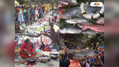 Fish Market : কেষ্টপুরে মাছের মেলা! ইলিশ থেকে ভেটকি, তাজা মাছের পসরা