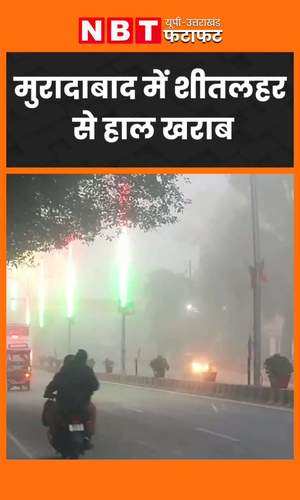 visibility affected slightly in parts of moradabad as fog covers the city video