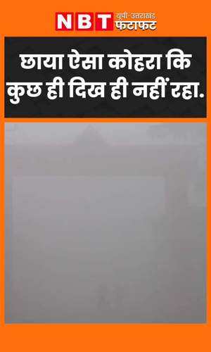 visibility affected in uttar pradeshs aligarh due to dense fog watch video