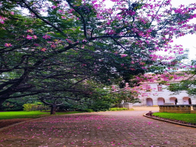 लोग शेयर कर रहे तस्वीरें