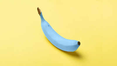 Blue Banana Health Benefits: কলা হয় ‘নীল’ও, রোজ খেয়ে ফেরাতে পারবেন শরীরের হালও!