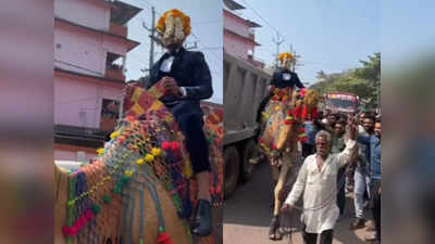 Wedding Procession on Camel: കണ്ണൂരിൽ ഒട്ടകപുറത്തേറി വരന്റെ വിവാഹഘോഷയാത്ര, പുലിവാൽ കല്യാണമായി; വരനും സൃഹുത്തുക്കളുമായ 25 പേർക്കെതിരെ കേസ്