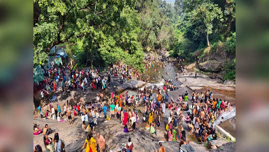 காணும் பொங்கல்-கோவை குற்றாலத்தில் குவிந்த மக்கள்!