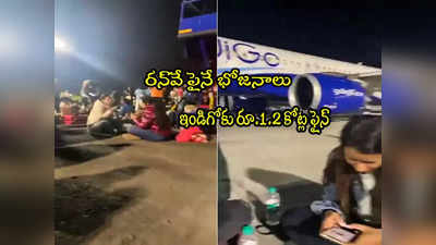 IndiGo: రన్‌వేపై ప్రయాణికుల భోజనం.. ఇండిగోకు రూ.1.2 కోట్ల ఫైన్.. ఆ 2 సంస్థలకూ జరిమానా!