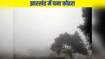 Jharkhand Weather Update: झारखंड के इन जिलों में खतरनाक शीतलहर, कोहरे की चादर से ढके कई जिले, बारिश की संभावना