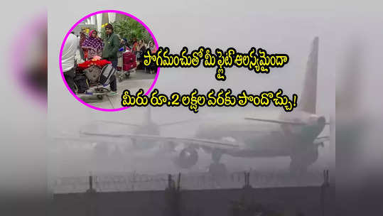 Flight Delay: విమానం ఆలస్యమైందా? రూ.2 లక్షల వరకు పొందొచ్చు.. ఎలాగంటే? 