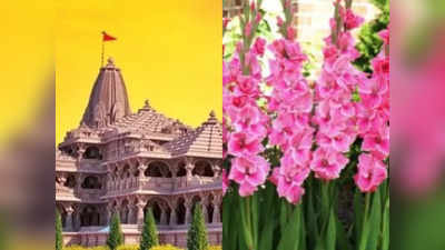 Ram Mandir: रामलला के स्वागत में फरीदाबाद से भेजे रजनीगंधा-गुलाब, इन फूलों से ही होगी भगवान की चरण वंदना