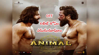 Animal Movie: యానిమల్ OTT రిలీజ్‌కి చిక్కులు.. ఇప్పట్లో స్ట్రీమింగ్ కష్టమే!