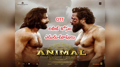 Animal Movie: యానిమల్ OTT రిలీజ్‌కి చిక్కులు.. ఇప్పట్లో స్ట్రీమింగ్ కష్టమే! 