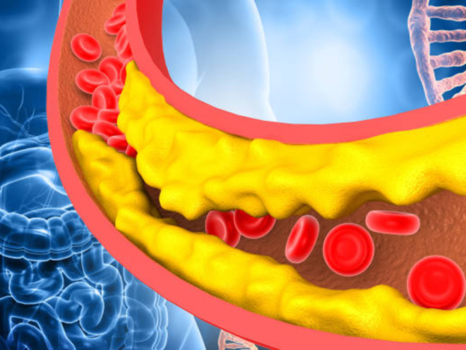 कोलेस्ट्रॉलची योग्य पातळी 