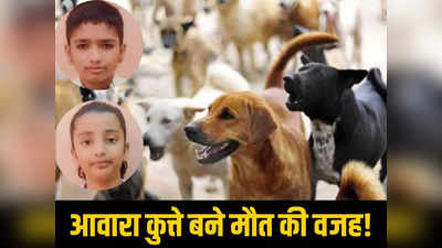 जोधपुर में दिल दहला देने वाला दर्दनाक हादसा: आवारा कुत्तों ने दो बच्चों को दौड़ाया, हुई मौत